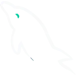 MySQL MySQL