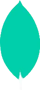 MongoDB MongoDB
